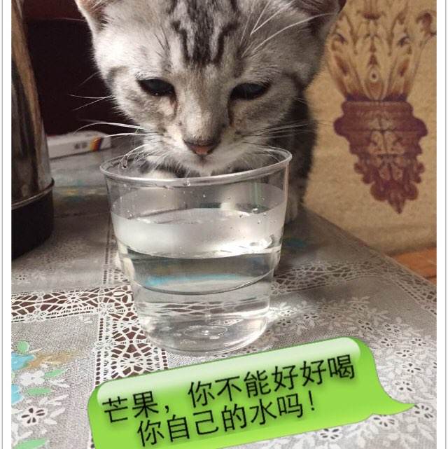 仿制劳伦斯科技大学文凭毕业证